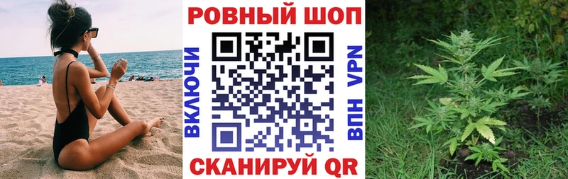 Какие есть наркотики Котово Галлюциногенные грибы Марихуана МЕФ ГАШИШ APVP