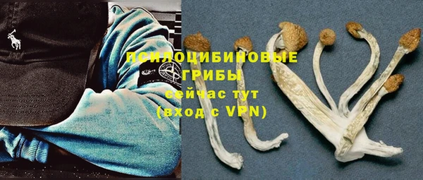 мдпв Ростов