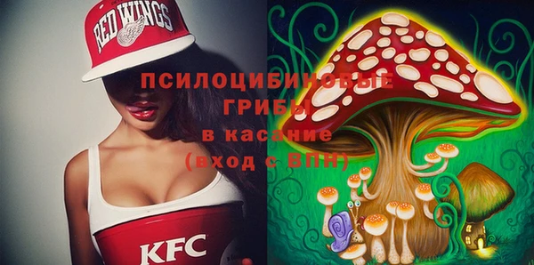 эйфоретик Рославль